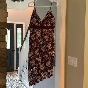 NWT lace Bardot dress